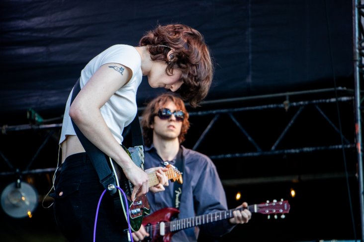 Geese / Photo: Milad Asadi