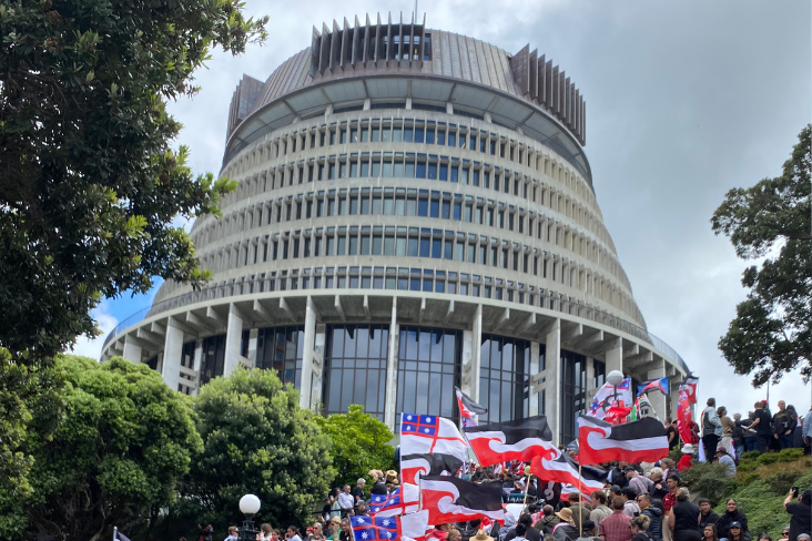 Protestors at the Hīkoi mō Te Tiriti outside Parliament