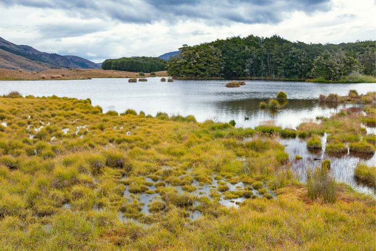 Climate Concerns Study NZ